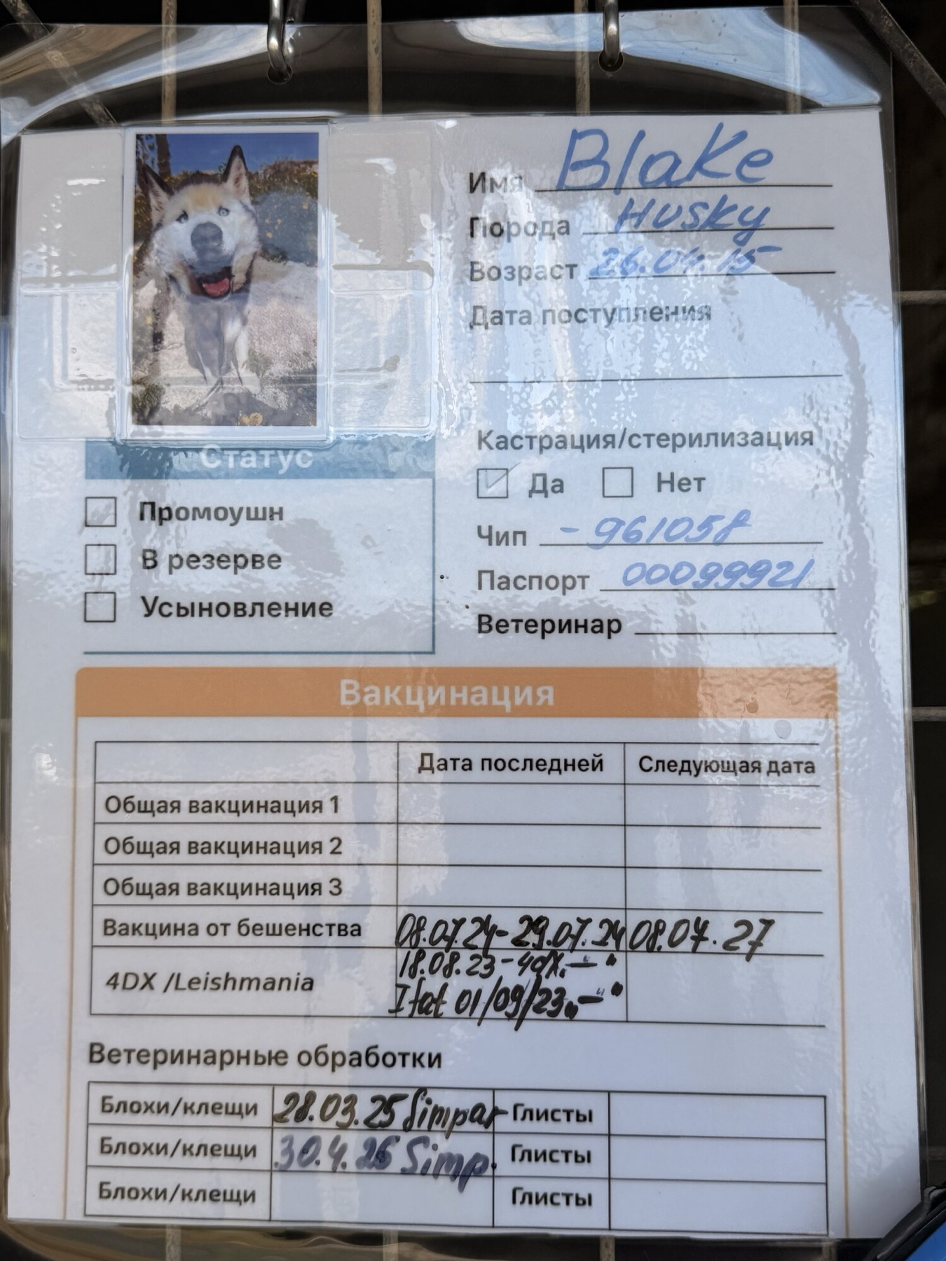 Shelter information card 1 for Blake — vaccinations, microchip and paperwork