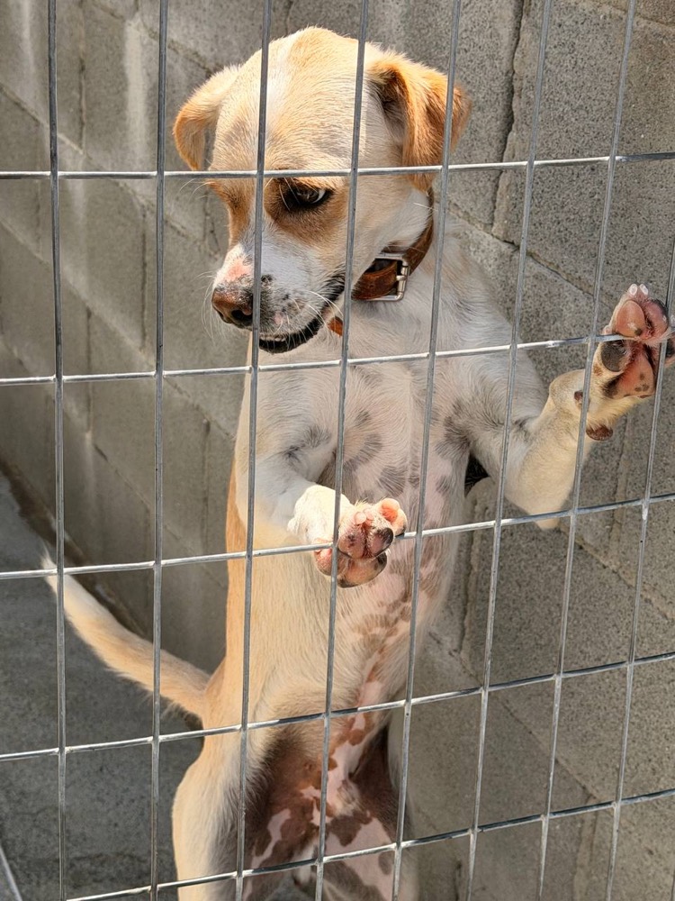 Roony, Mix from Robert's Sanctuary, Limassol
